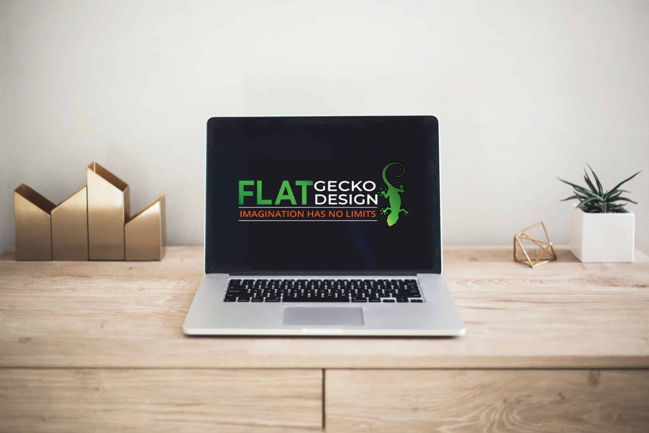 Professional Support-Flat Gecko Design