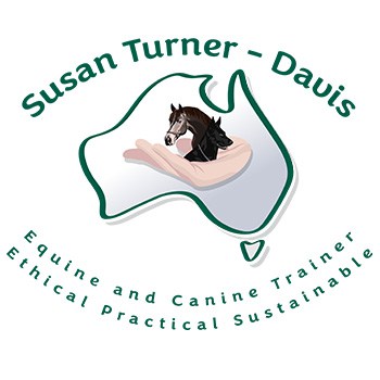 Susan Turner Davis
